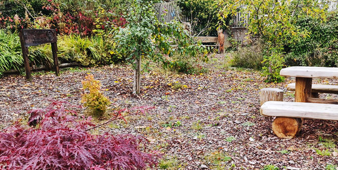 Maryburgh Tidy Up