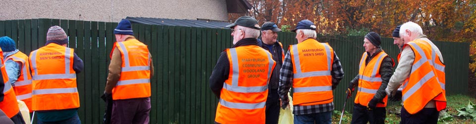 Spring Clean-Up & Tree Planting