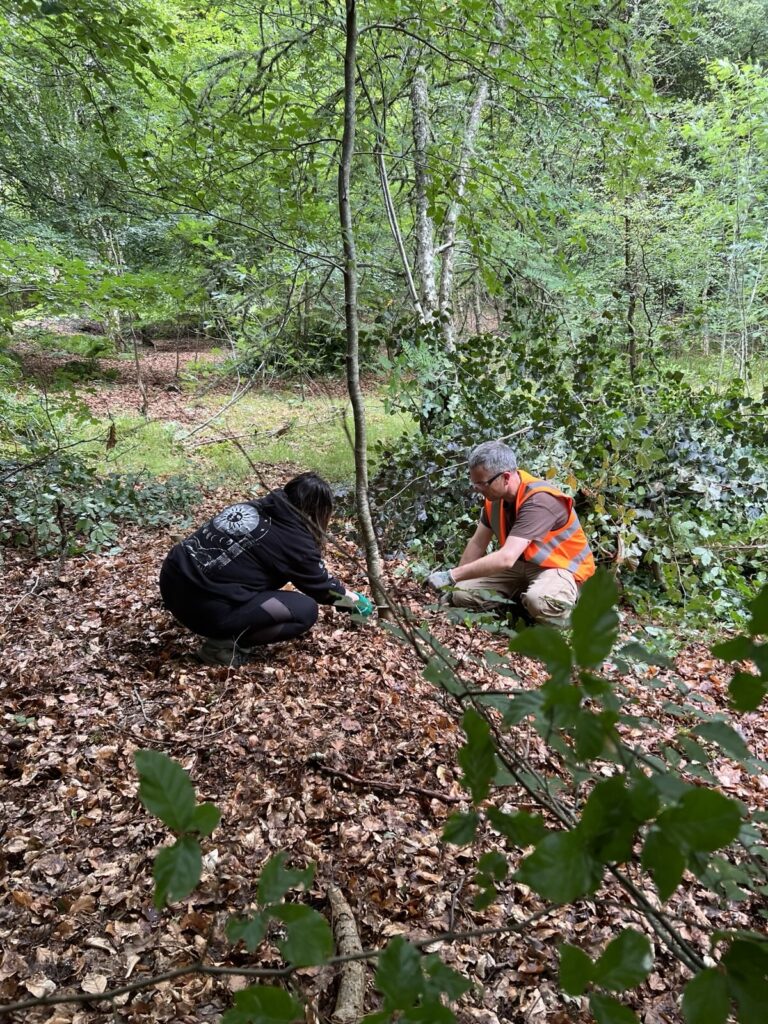 New volunteer tacking her first tree