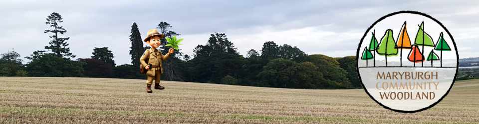 Community Awareness raising event in the Woodland