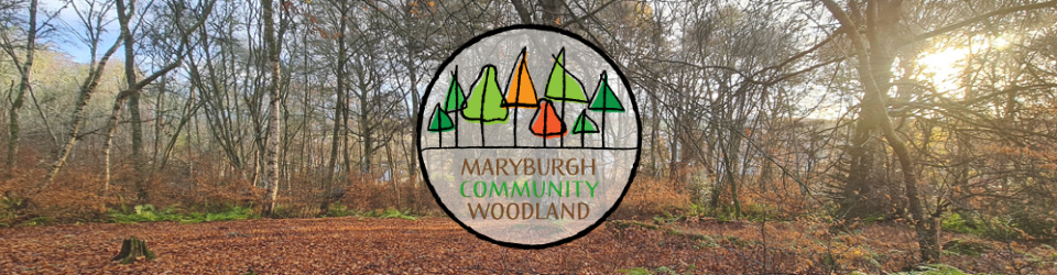 Maryburgh Community Woodland Group – February Monthly Meeting